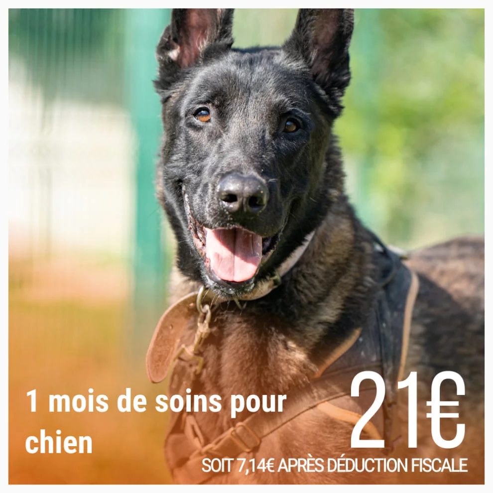 Couverture produit